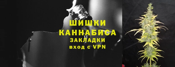 PSILOCYBIN Белая Холуница