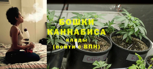 PSILOCYBIN Белая Холуница