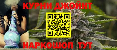 спиды Гай