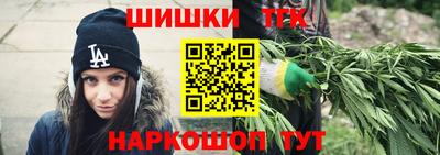 спиды Гай