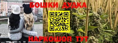 спиды Гай