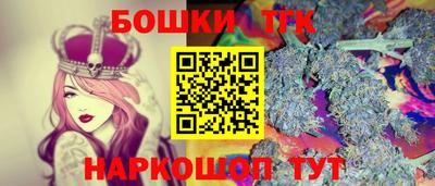 спиды Гай