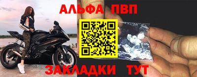 спиды Гай