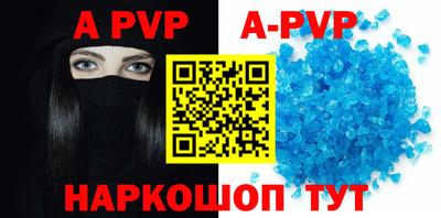 спиды Гай