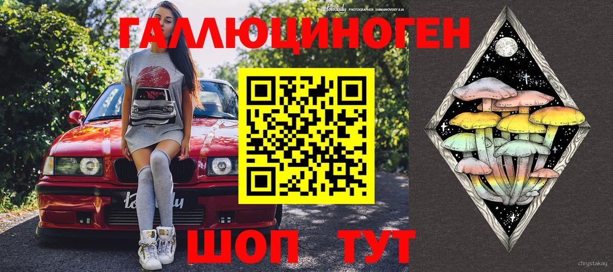 Псилоцибиновые грибы MAGIC MUSHROOMS  продажа наркотиков  Унеча  Вход с VPN  Псилоцибиновые грибы мицелий 